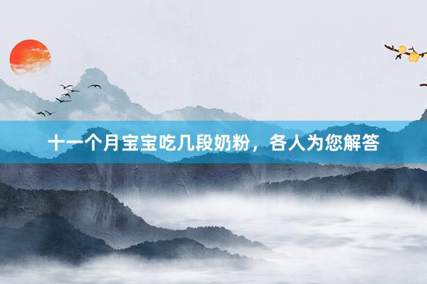 十一个月宝宝吃几段奶粉，各人为您解答